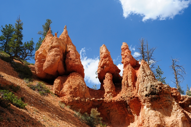 Bryce Canyon-Viaggi-4.JPG